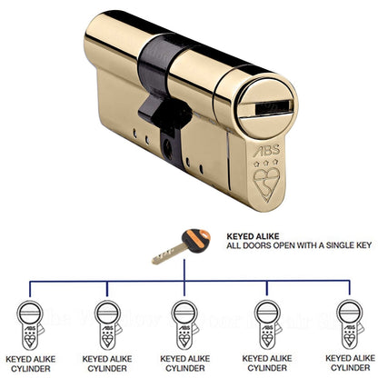 Avocet ABS Keyed Alike Euro Cylinder UPVC Door Lock Anti Snap 3 Star TS007