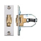 Adjustable Roller Latch, 76mm in Various Finishes