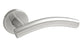 Stainless Steel Lever on Rose Curved Door Handles Kurva Style Polished or Satin