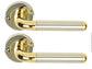 Dale ORBIT LEVER ROUND ROSE | Polished Brass Chrome | Privacy Handle | DH003630